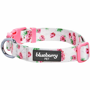 Summer Floral Dog Collar in Ash Grey