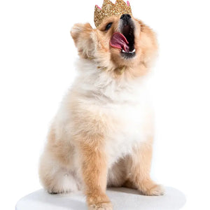 Meta Dog Crown