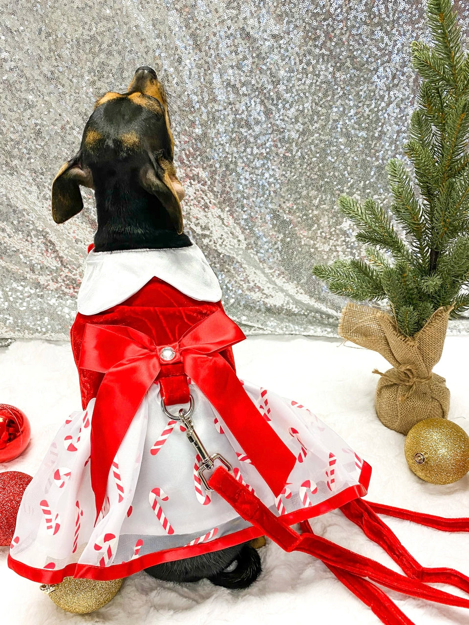 Holiday Dog Harness Dress