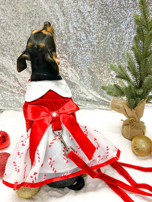 Holiday Dog Harness Dress - Candy Canes Posh Puppy Boutique Holiday Dog Harness Dress - Candy Canes Posh Puppy Boutique