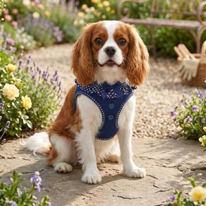 American River Choke Free Dog Harness Polka Dot Collection - Navy Polka Dot