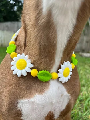 Miss Daisy Beaded Pet Collar