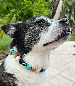Western Glam Beaded Pet Collar