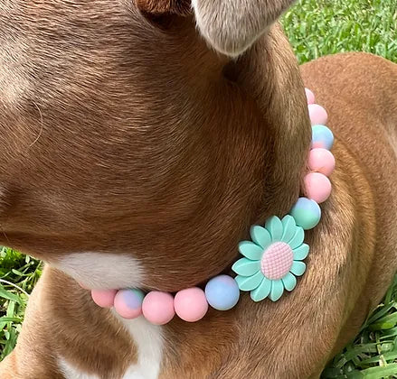 Miss Marguerite Beaded Pet Collar