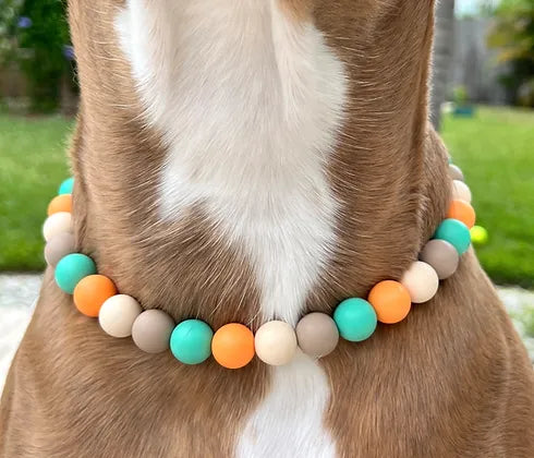 Sunset Beaded Pet Collar