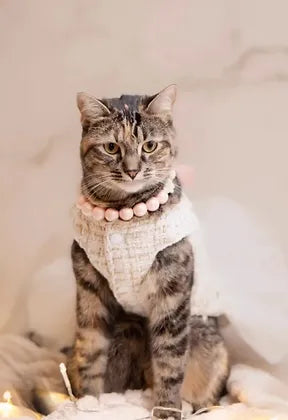 Opal Blush Beaded Pet Collar