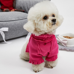 Louis Vuitton Dog Clothing -  Canada