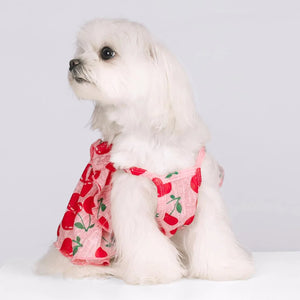 cute puppy dress kladzum Dog Dress Pet Wedding Dress Dog Dresses Costume Puppy Princess Birthday Party Outfit Dog Apparels Dog Summer Clothes Supplies