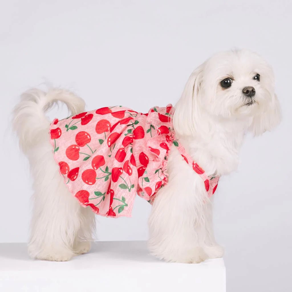 cute puppy dress Cherry Dog – Posh Boutique Size:10 USA Buy Libas Off White samplesale