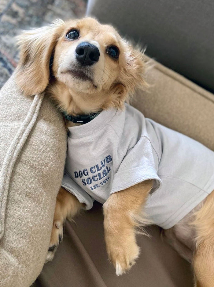 Embroidered Tee (Dog)