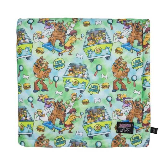 Dog Blanket - Scooby-Doo
