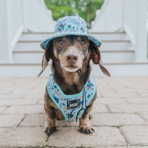Dog Bucket Hat Disney's Stitch Posh Puppy Boutique