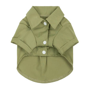 Formal Dog Collar Shirt in Olive