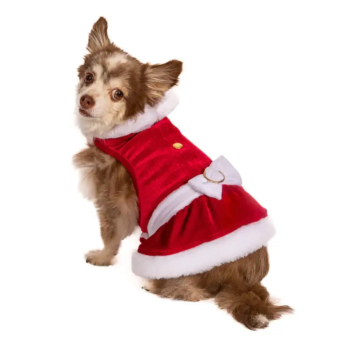 Mrs. Clause Dog Dress