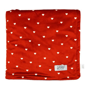 Little Love Blanket