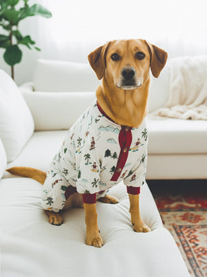Fun Fam Surfing Santa Pajama (Dog & Kids)
