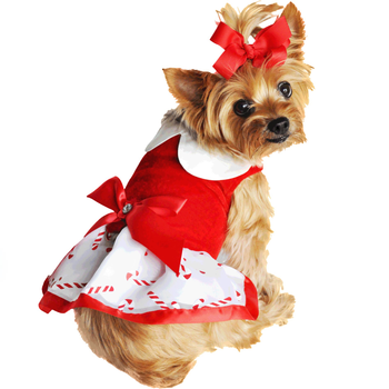 Holiday Dog Harness Dress - Candy Cane, Small Holiday Dog Harness Dress - Candy Cane, Small