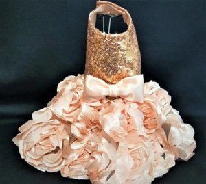 Rose Gold Sequin and Rosette Dress