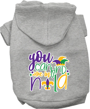 You Can Find Me In Nola Screen Print Hoodie in Many Colors
