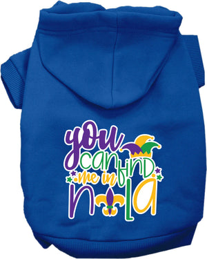 You Can Find Me In Nola Screen Print Hoodie in Many Colors
