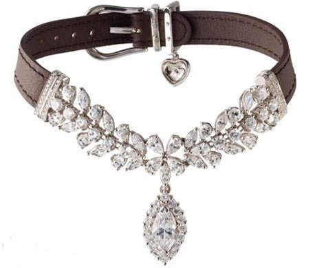 La Jeune Tulipe Diamond Dog Pet Collar EXCLUSIVE TO POSH PUPPY BOUTIQUE