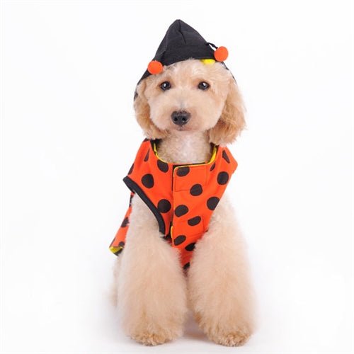 Ladybug Bumblebee Reversible Dog Costume Posh Puppy Boutique