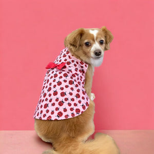 Ladybug Dress - Posh Puppy Boutique Ladybug Dress - Posh Puppy Boutique