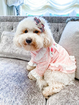 Wooflink Marie Mini Dress - Pink - Posh Puppy Boutique