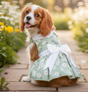 Doggie Design Mint Green Daisy Dog Dress with Matching Leash
