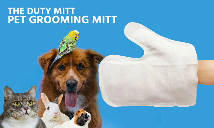 Pet Grooming Mitt (Scented & Moist)