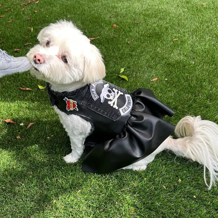 Pups of Anarchy - Faux Leather Dress Posh Puppy Boutique Pups of Anarchy - Faux Leather Dress Posh Puppy Boutique