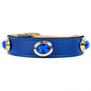 The Royal Collection Dog Collar in Cobalt and Gold