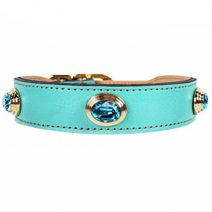 The Royal Collection Dog Collar in Turqoise & Gold