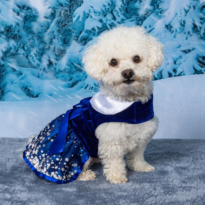 Snowflakes Holiday Dog Harness Dress with Matching Leash – Posh Puppy Boutique