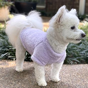 Soft Plush Pullover in Lilac