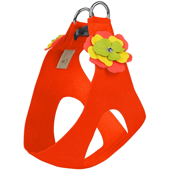 Susan Lanci Citrus Flower Step In Harness – Posh Puppy Boutique