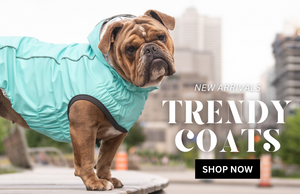 NBA Miami Heat Dog Puppy Sports Jerseys Apparel – Posh Puppy Boutique