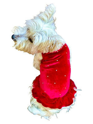 Red Velvet Twinkle Tutu Dress - Posh Puppy Boutique