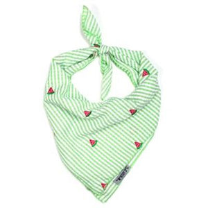 Green Stripe Watermelon Tie Bandana