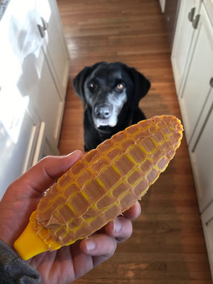 Corn on the Cob Ultra Durable Dog Chew Toy