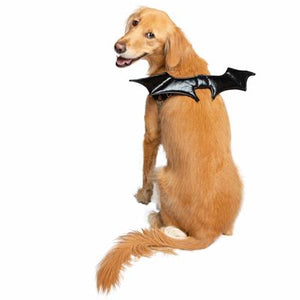 Bat Wing Harness Attachment for Dogs