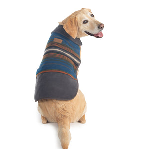 Olympic National Park Dog Coat