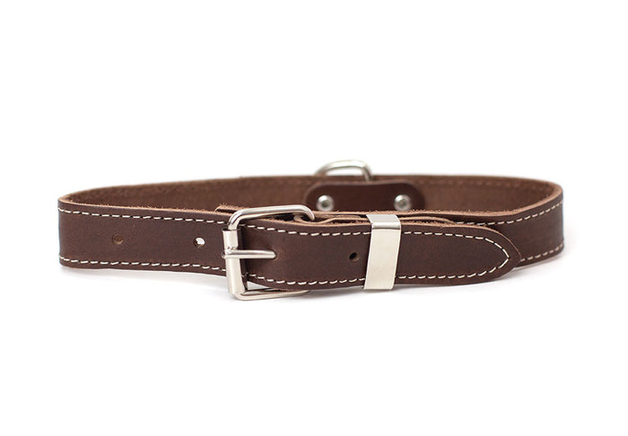 Chocolate Traditional Buckle Leather Collar