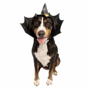 Witch Hat and Collar Set Dog Costume