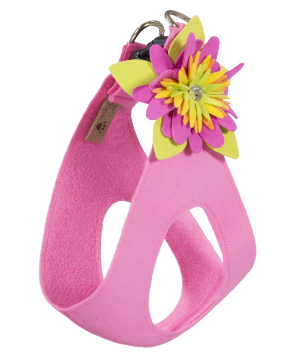 Susan Lanci Island Flower Collection Step In Harness - Many Colors
