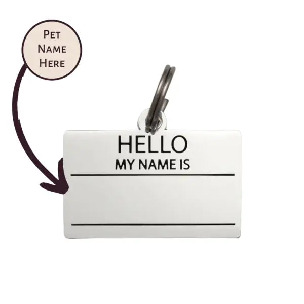 Hello My Name is Pet ID Tag in Silver