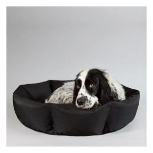 Catching ZZZs Dog Bed in Black