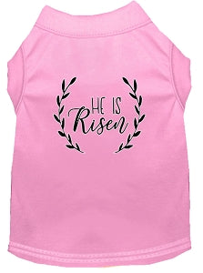 He Is Risen Screen Print Shirt in Many Colors