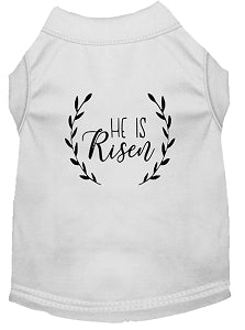 He Is Risen Screen Print Shirt in Many Colors
