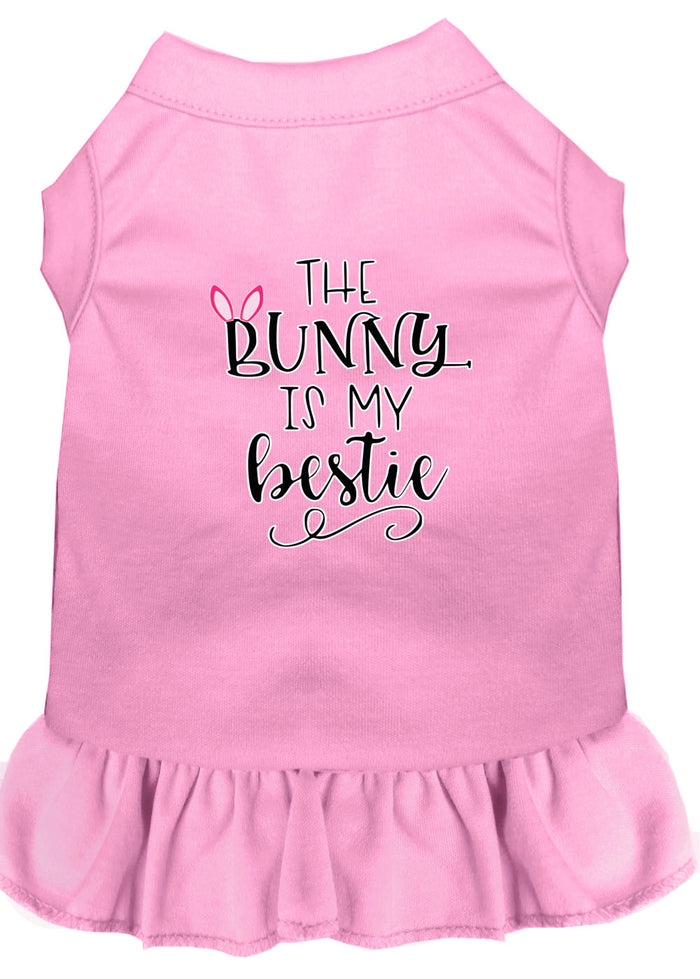 Bunny is my Bestie Screen Print Dog Dress in Many Colors